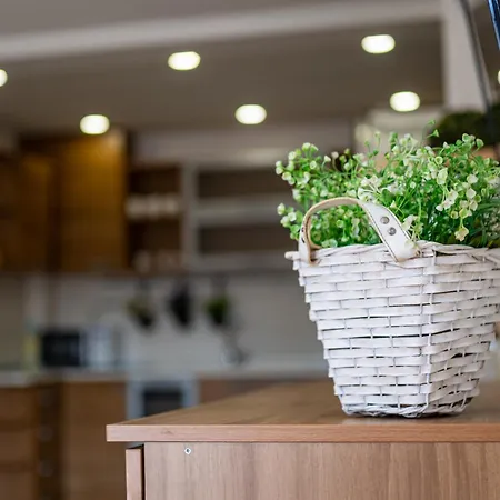 Sunny In The Center Of For 5guests Appartement *