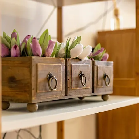 Appartement Sunny In The Center Of For 5guests Varna