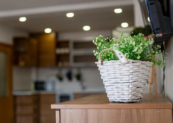 Sunny In The Center Of For 5guests Διαμέρισμα *