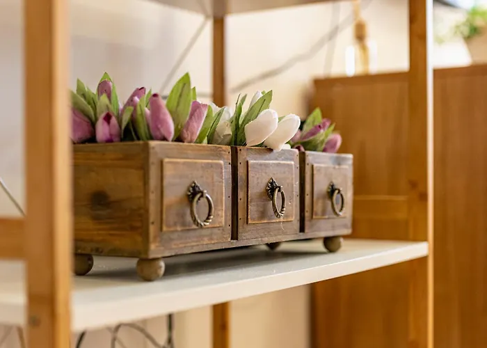 Διαμέρισμα Sunny In The Center Of For 5guests Βάρνα